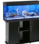 Comment bien coller un aquarium à la maison