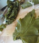 TOP 7 manieren om druivenbladeren voor dolma te bewaren voor de winter