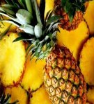 Comment et combien d'ananas peuvent être conservés à la maison, règles et conditions