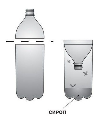 piège à mouches