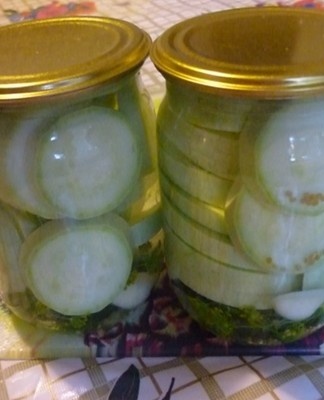 courgette in potten