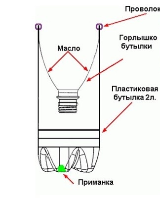 muizenval circuit