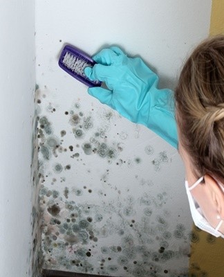 Zonder effectieve ventilatie zal zich constant overtollige luchtvochtigheid in de kamer ophopen.