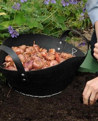 Bewaar plantmateriaal in ruimtes met een hoge luchtvochtigheid.