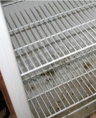 TOP 20 metod a nástrojů k čištění plísní v lednici