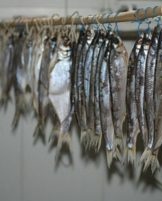 Comment et combien conserver le poisson séché à la maison pour qu'il ne se dessèche pas