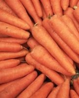 TOP 22 façons de bien conserver les carottes à la maison pour l'hiver