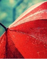 Recommandations pour bien sécher un parapluie après la pluie et les principales erreurs