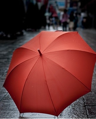  Si le parapluie est plié dans une housse sous une forme humide et qu'il est rouillé, vous pouvez éliminer les taches rouges en pressant du jus de citron