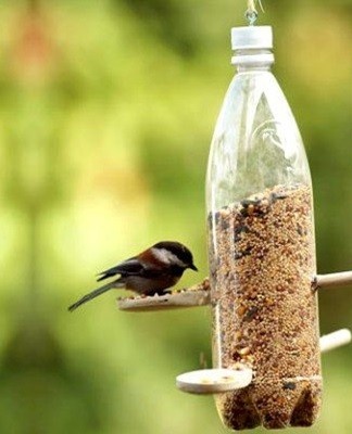 Une option simple pour fabriquer une mangeoire : percer un trou dans la paroi de la bouteille, percer des trous dans le goulot