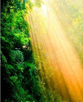 Les rayons du soleil peuvent également libérer le "parfum" du caoutchouc.