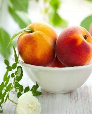 L'humidité optimale pour la conservation des fruits délicats est de 90 %.