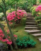 Een tuinazalea planten en verzorgen in het open veld, teeltregels