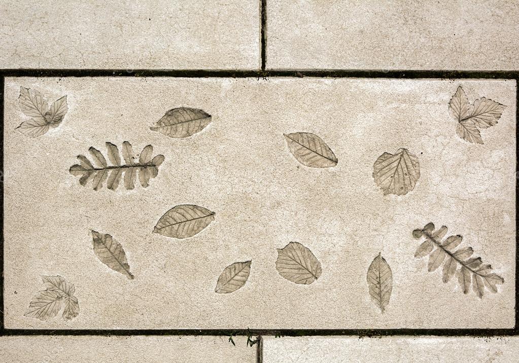 feuilles en béton