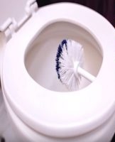 Comment nettoyer une brosse de toilette à la maison, règles et meilleurs outils