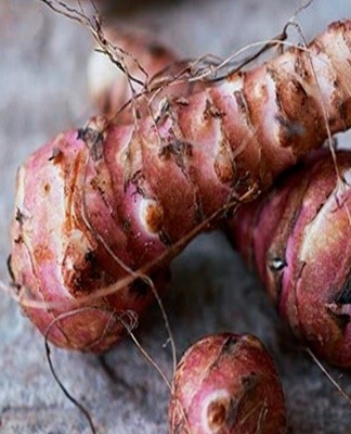 Bij het bewaren van aardperen moeten bepaalde eisen op het gebied van temperatuur, vochtigheid en verlichting in acht worden genomen.