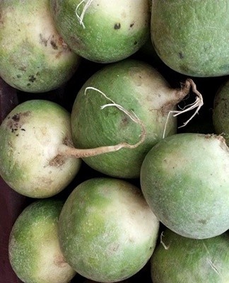 Pour le stockage à la maison, les fruits à maturation tardive sont choisis.