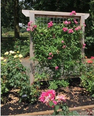 Les formes des treillis sont différentes et dépendent du goût et des capacités matérielles du jardinier.