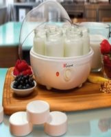 Hoe je de juiste yoghurtmaker kiest, wat belangrijk is om te weten en een overzicht van de beste modellen