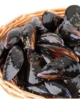 Les meilleures façons de conserver les moules fraîches à la maison