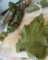 TOP 7 manieren om druivenbladeren voor dolma te bewaren voor de winter