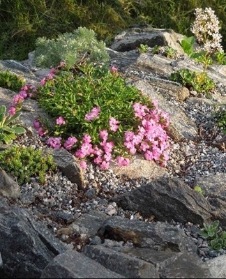 Een imitatie van natuurlijke berglandschappen ziet er voordelig uit in het zomerhuisje.