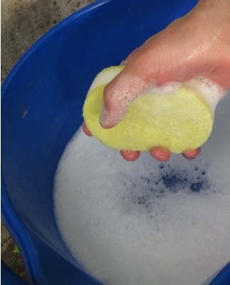 Il est recommandé de prendre 3 à 4 grandes cuillères de la substance dans un seau d'eau.