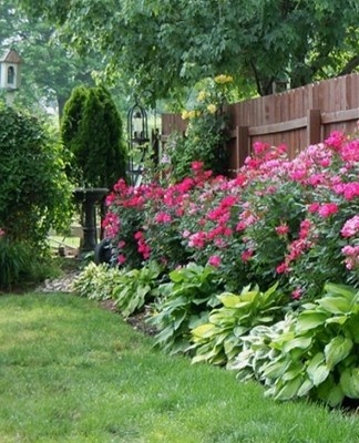 Règles pour dessiner un parterre de fleurs avec du phlox, combinaisons réussies avec d'autres fleurs