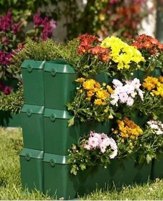 Een kruidachtige plant die in het vroege voorjaar bloeit en betovert met fluweelachtige bladeren