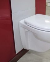 Comment choisir une installation de toilettes, un aperçu des meilleures marques et modèles