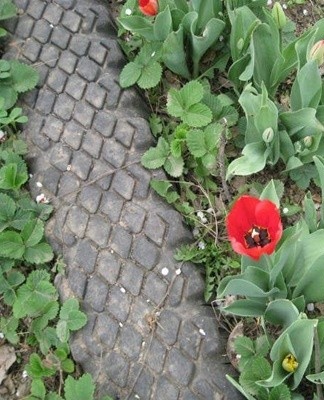 chemin de jardin