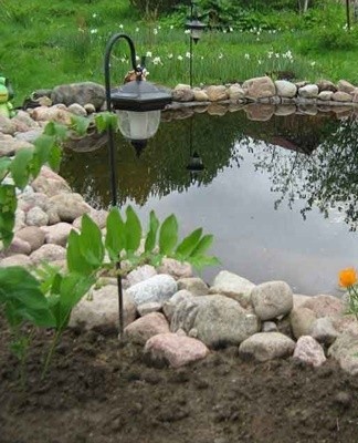 De chemische reinigingsmethode is geschikt voor gevallen waarin geen waterplanten of vissen in de vijver leven.