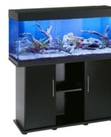 Comment bien coller un aquarium à la maison