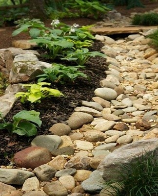 Le moyen le plus simple de se débarrasser des feuilles mortes est de planter des plantes qui ne perdent pas de feuillage pour l'hiver ou des conifères.