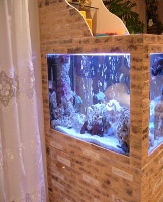 bel aquarium