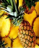 Comment et combien d'ananas peuvent être conservés à la maison, règles et conditions