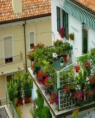 Ideeën voor het inrichten van een balkon, welke bloemen moeten worden geplant en ontwerpregels