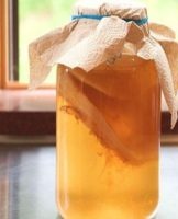 Comment et où conserver correctement le kombucha à la maison et à quel moment