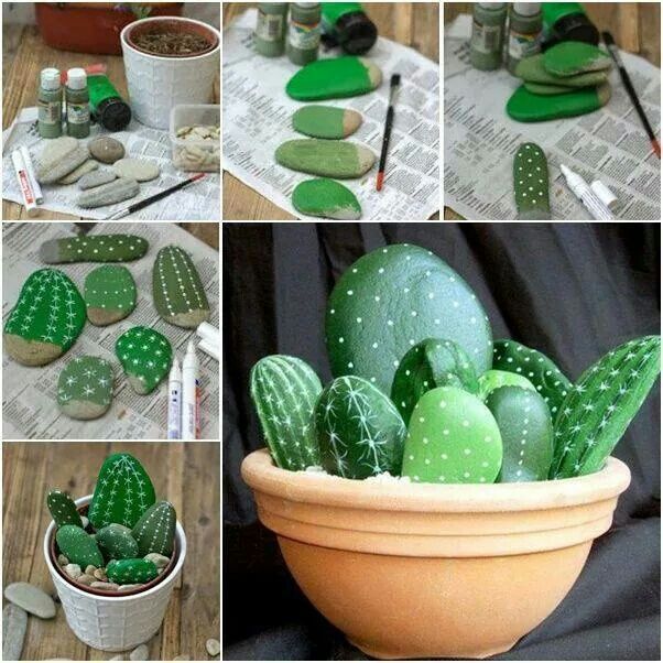 kaktus na kameni
